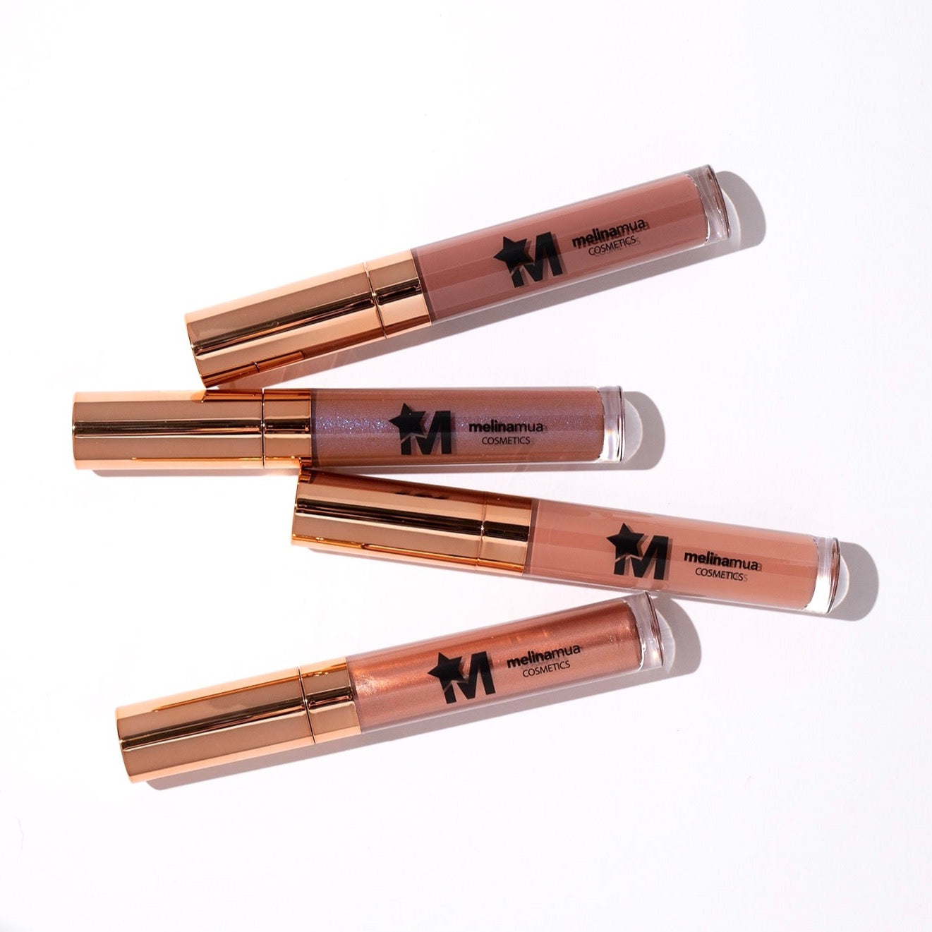 My Signature Nude Lip gloss Bundle